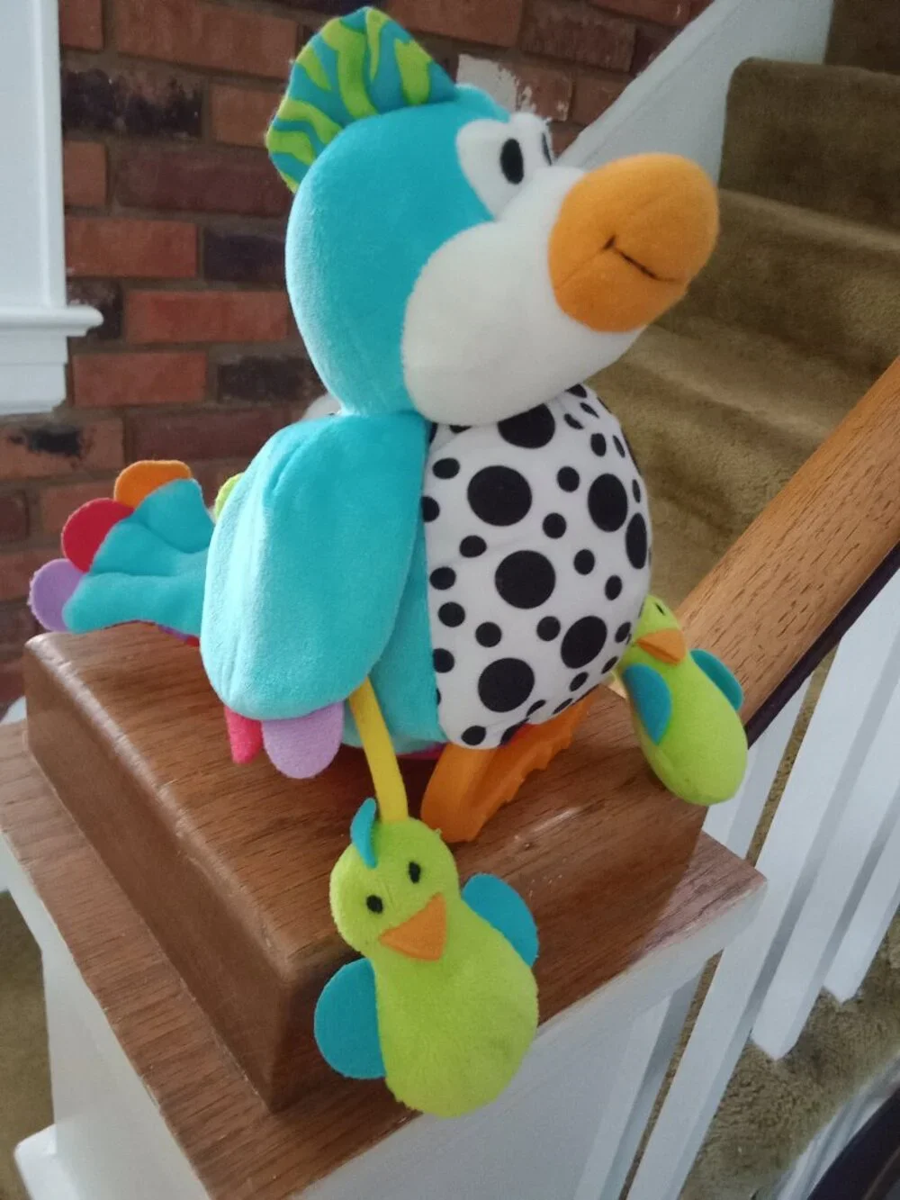 Infant Sensory Toy